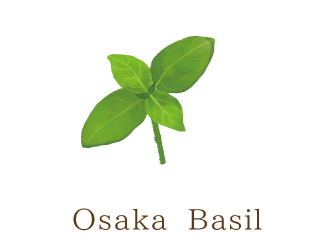 Osaka Basil